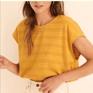 Women's Short Sleeve Pointelle Knit Crop Top